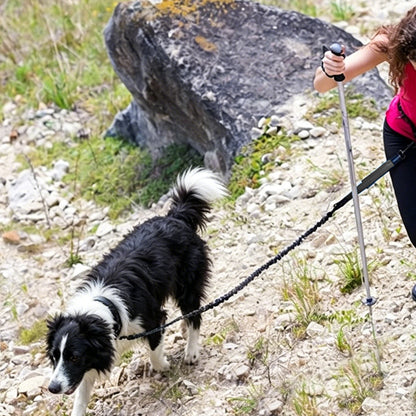 2 in 1 Hands Free Running Dog Leash for Walking Jogging-Black