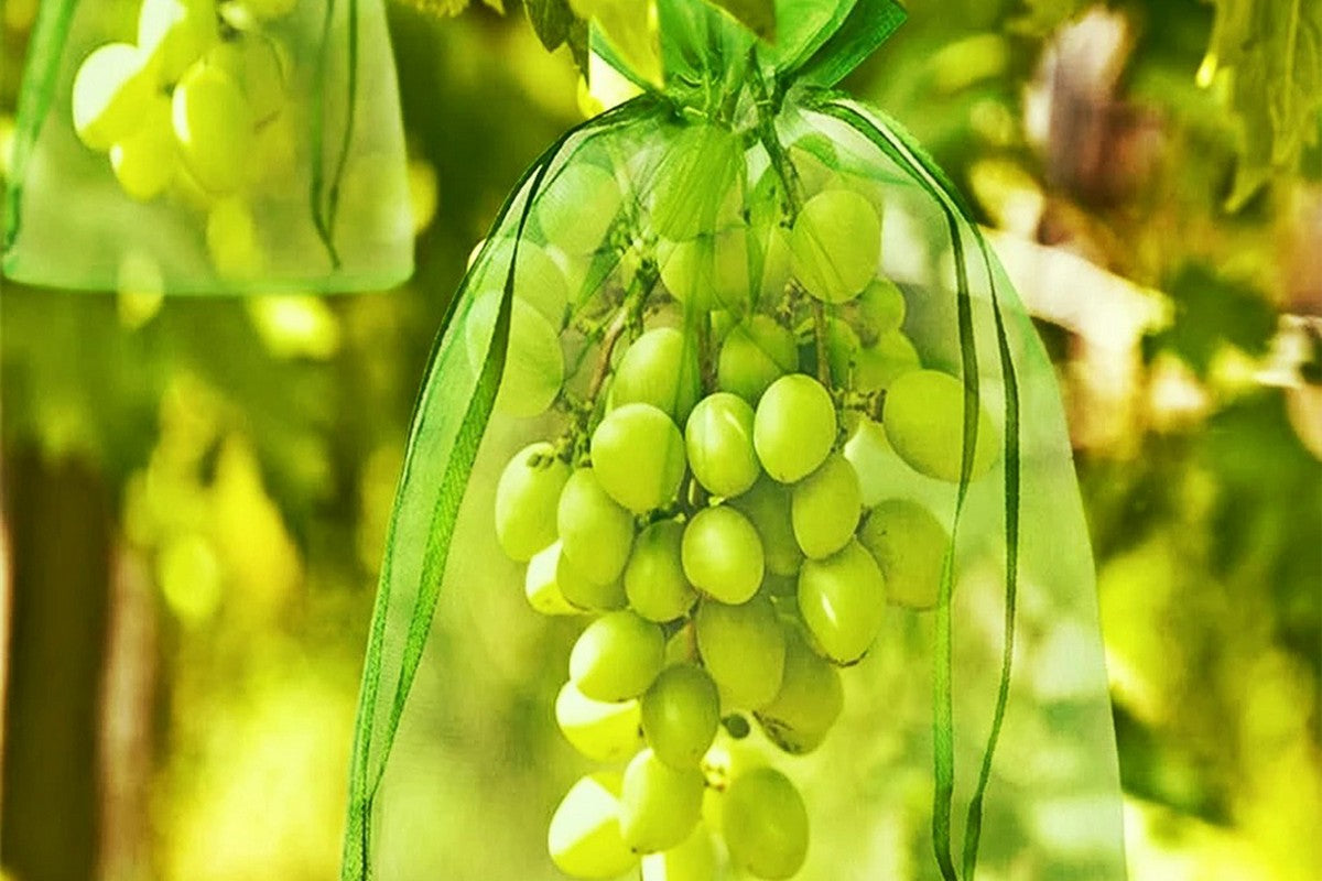 20 Pcs Fruit Protection Bags for Fruit Trees Green Mesh-Green