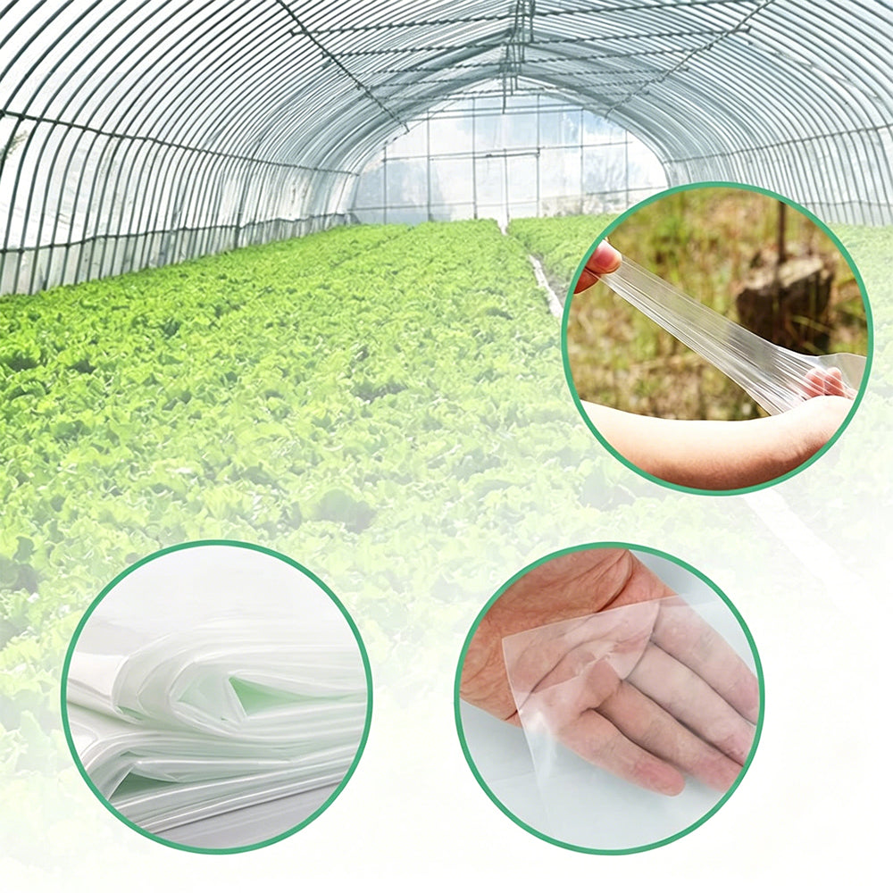 Greenhouse Plastic Cover 2x10m PE Film for Garden Vegetable Tunnel