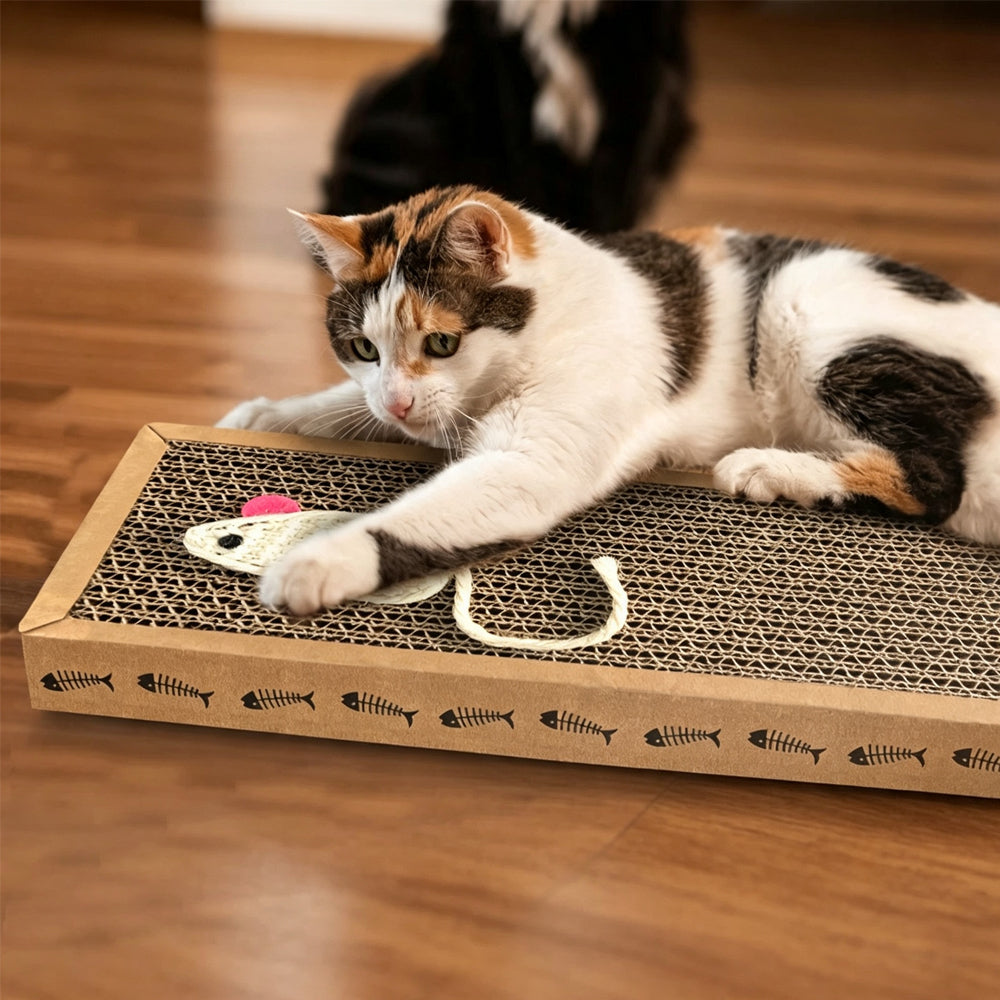 2 Piece Double Sided Corrugated Cardboard Cat Scratchers