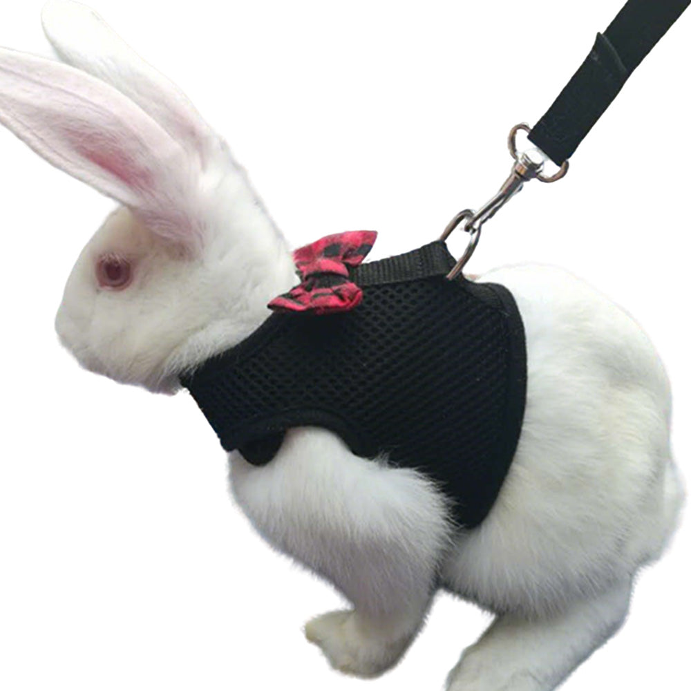 Rabbit Harness and Leash Set for Bunny-Black