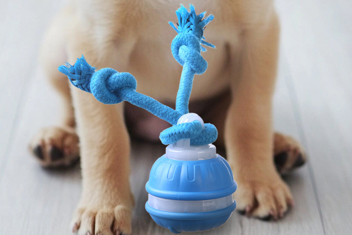 USB Rechargeable Motion Activated Rolling Dog Ball Toy Blue
