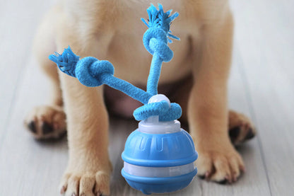 USB Rechargeable Motion Activated Rolling Dog Ball Toy Blue