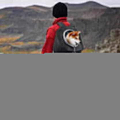 Mesh Pet Carrier Small Dog Cat Backpack for Travel Hiking Camping Black