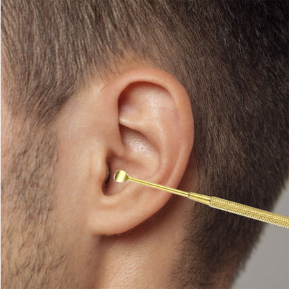 6Pcs Stainless Steel Ear Cleansing Tool Set Ear Cleaner Ear Care Set with Storage Case -Gold