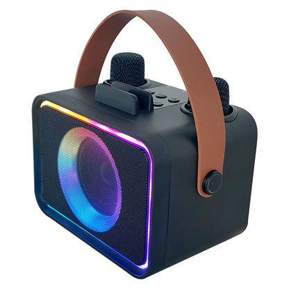 Mini Karaoke Machine Portable Bluetooth Speaker with 2 Wireless Microphone