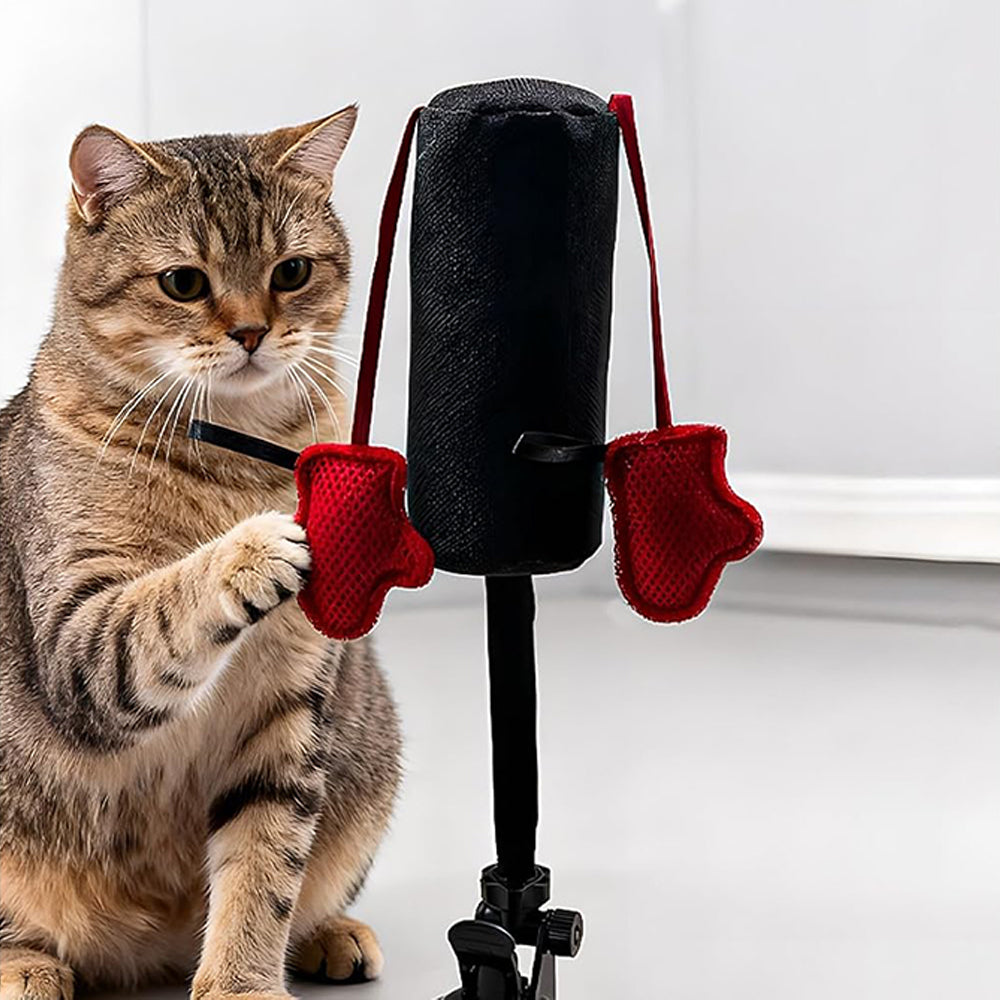 Cat Punching Bag Toy with Suction Cup