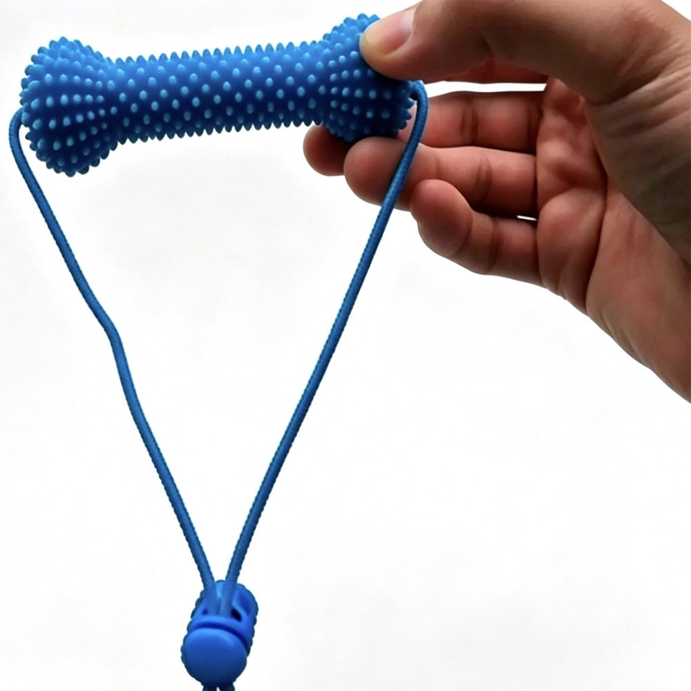 Durable Rubber Bone Dog Chew Toy with 2 Toothbrushes