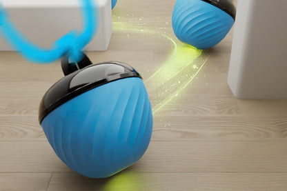 Squeaky Dog Toy Active Rolling Ball Interactive Dog Toys Motion Activated-Blue