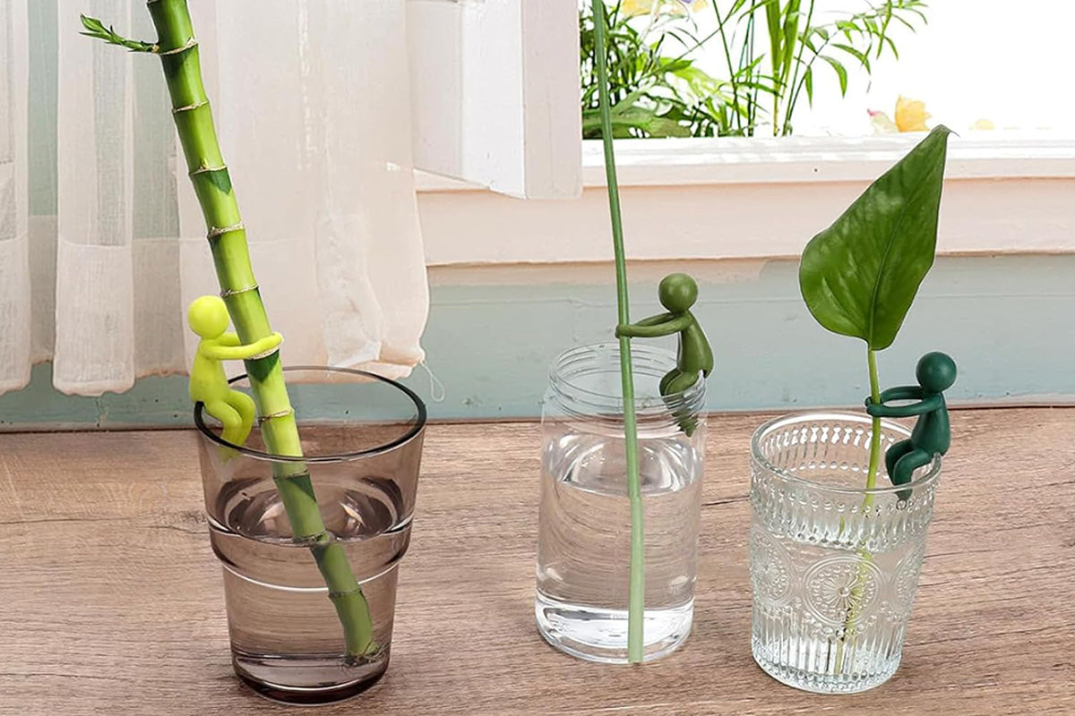 6Pcs Plant Propagation Buddy Plant Cutting Holder for Sprouts Stems Shoots Indoor Garden Support