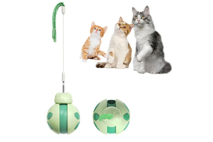 Interactive Cat Toys Tumbler Ladybug with Teaser Wand Cat Treat Dispenser Toy -Green