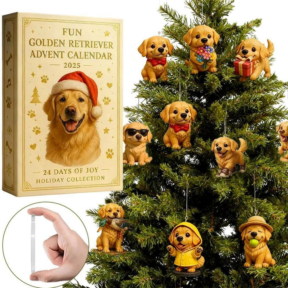 Christmas Advent Calendar with 24 Daily Surprises Countdown Calendar