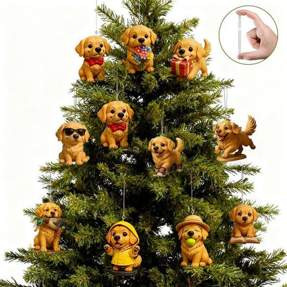 Christmas Advent Calendar with 24 Daily Surprises Countdown Calendar