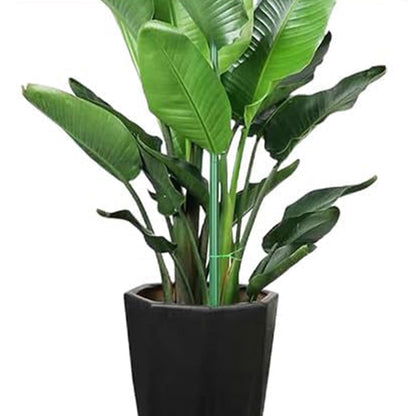 5PCS Stackable Plant Support Stakes for Indoor & Outdoor Climbing Potted Plants