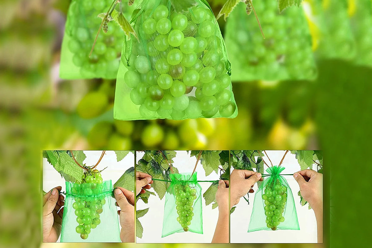 20 Pcs Fruit Protection Bags for Fruit Trees Green Mesh-Green