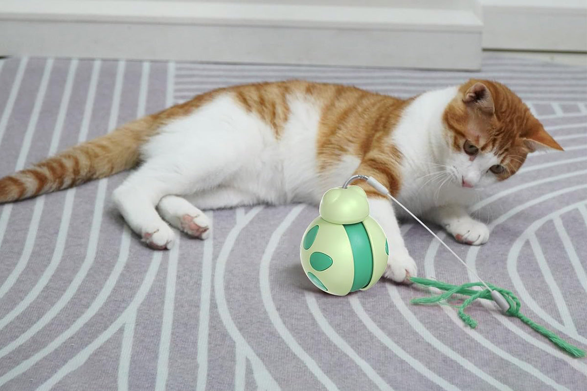 Interactive Cat Toys Tumbler Ladybug with Teaser Wand Cat Treat Dispenser Toy -Green