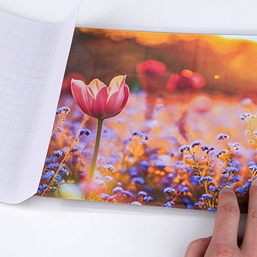 50 Self Adhesive Cold Laminating Sheets for Photos and Documents