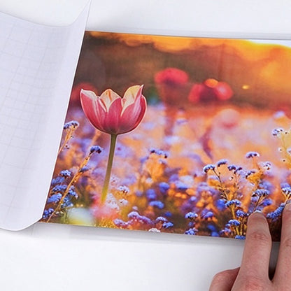 50 Self Adhesive Cold Laminating Sheets for Photos and Documents