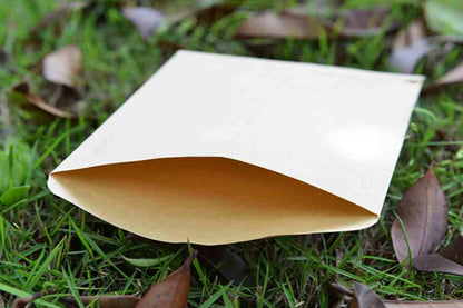 100 Piece Small Kraft Paper Coin and Seed Envelopes