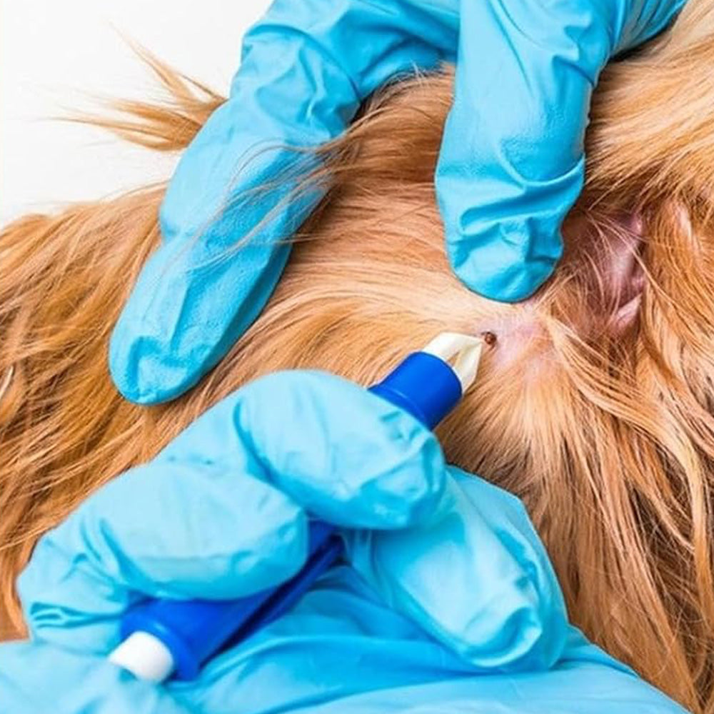 12 in 1 Stainless Steel Tick Removal Tool Kit
