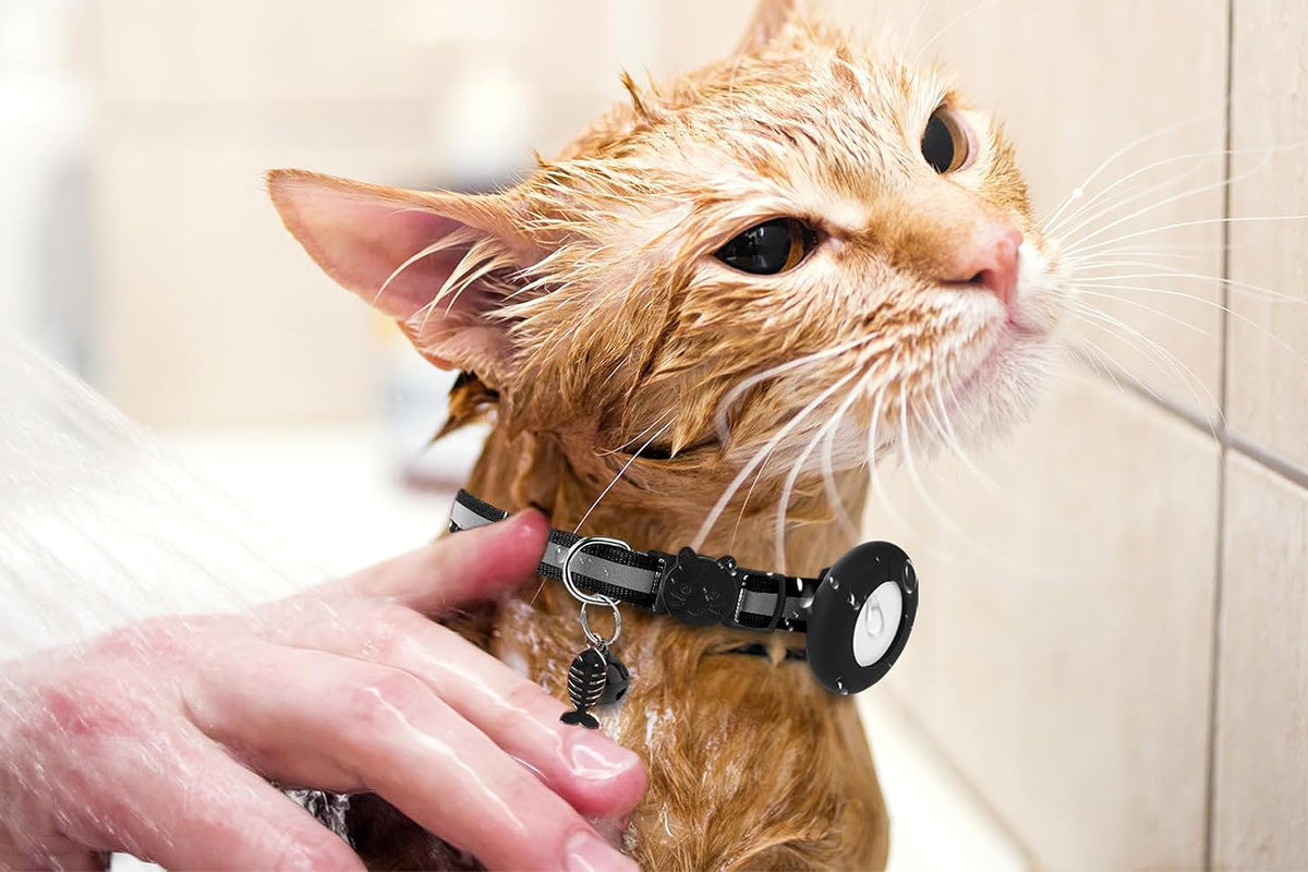 Adjustable Cat Collar Compatible with Apple Airtag - Black