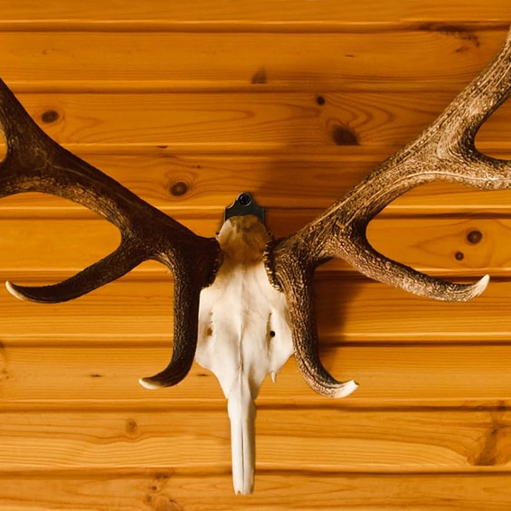 12Pcs Wall Mount Bracket Hangers Skull Hanger for Deer Elk Mule Antelope Coyote Head Decor