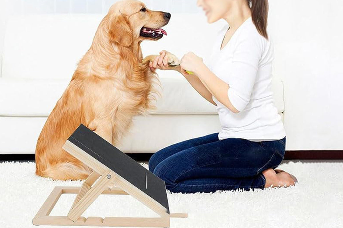 Dog Scratch Board for Nails Trimming Tool Alternative to Dog Nail Clippers