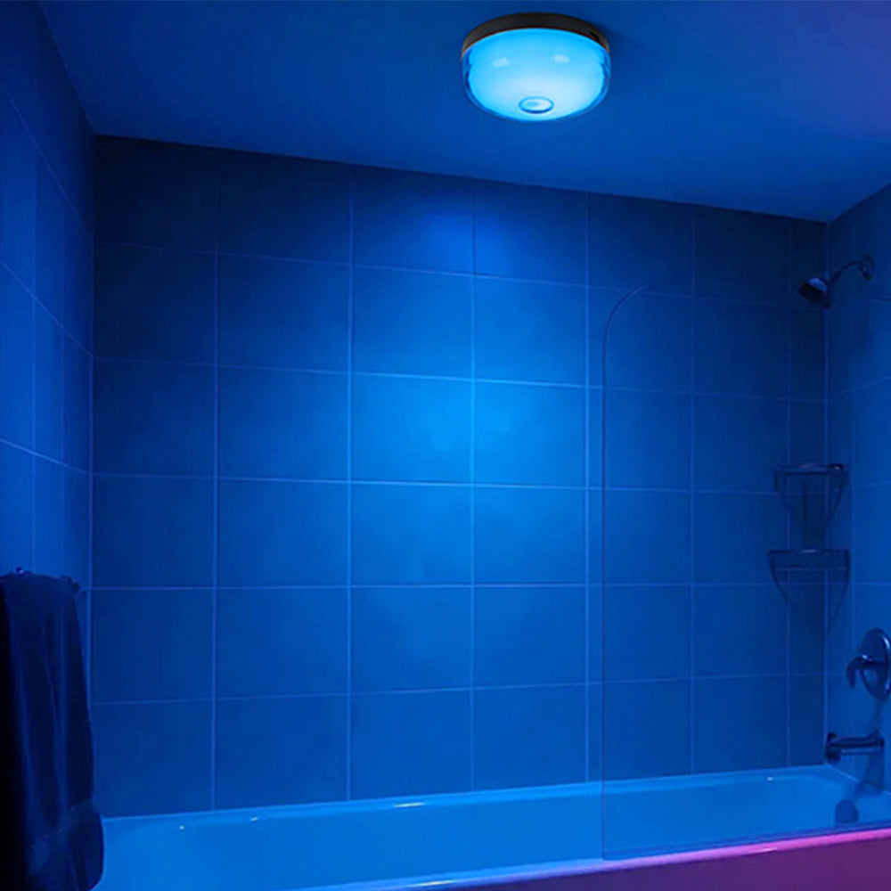 2 Piece Waterproof Shower Light with 12 RGB Colors Remote