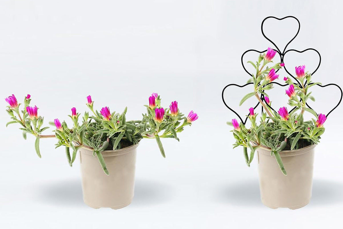 3 Pack Plant Trellis for Climbing Plants Black Heart Metal Stackable Garden Trellis for Vine Ivy Flower Potted Plants