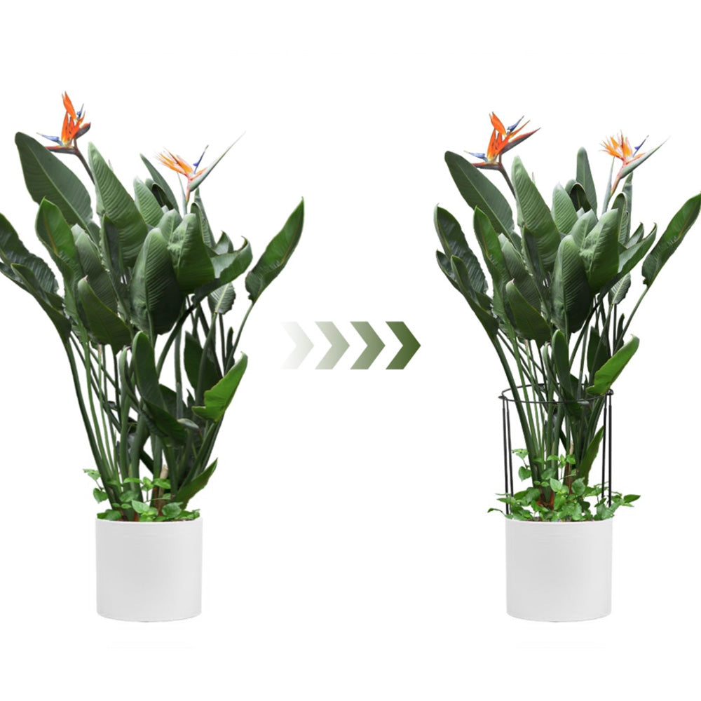 Plant Supports Stakes Set Half Round Metal Garden Stakes for Outdoor Indoor Plants