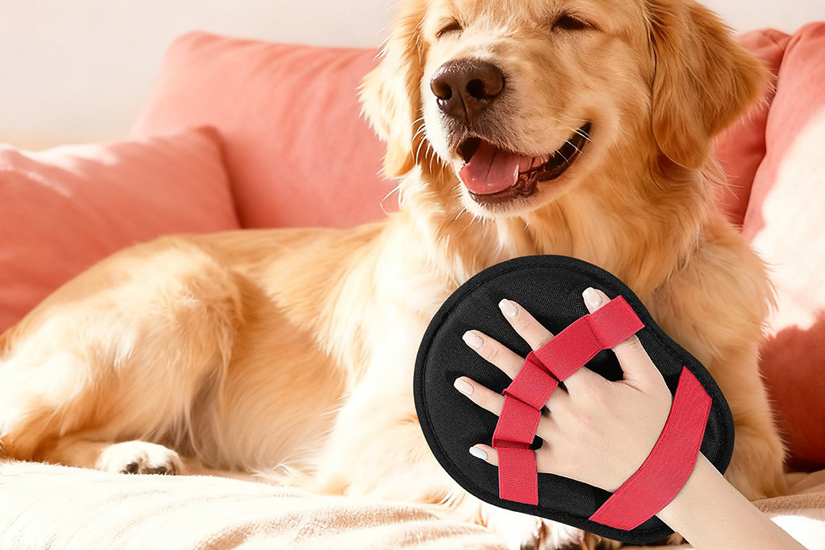 Pet Hair Removal Glove Reusable Electrostatic Grooming Mitt for Cats Dogs-Red