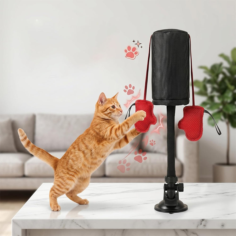 Cat Punching Bag Toy with Suction Cup