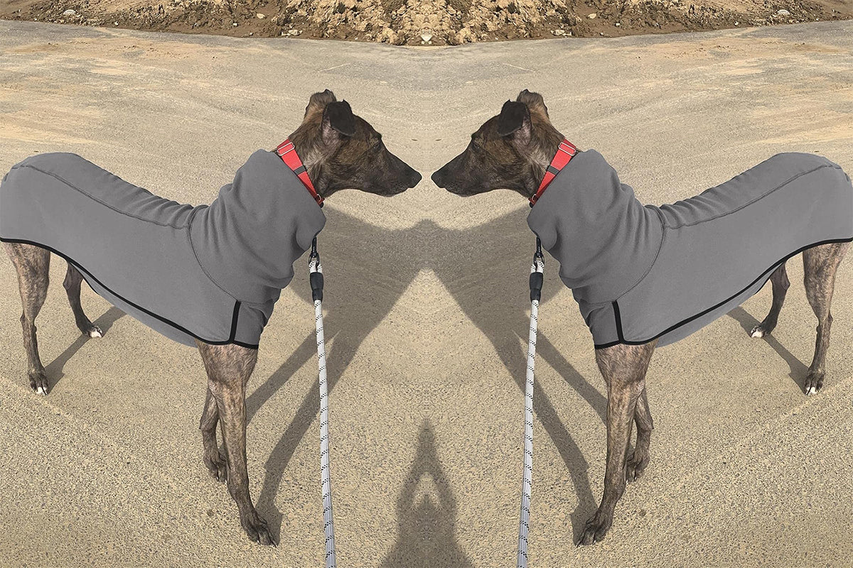 Dog Jumper Fleece Vest Sweater Stretch Sweatshirt - Grey