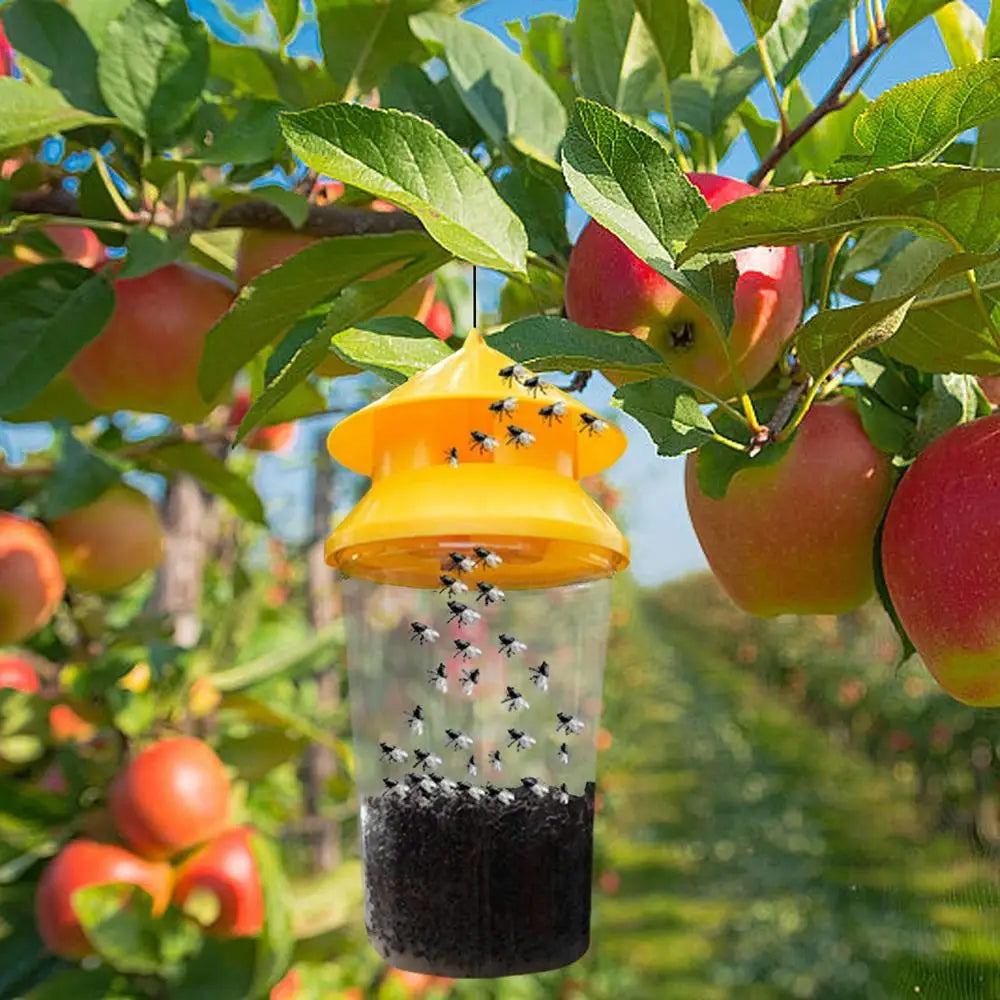 Reusable Fruit Fly Trap Catcher Non Toxic Fruit Fly Trap for Outdoor Camping Yard