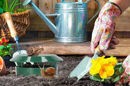 10Pcs Slug Snail Traps Kit Snail Trapper Reusable Slug House for Garden Farm