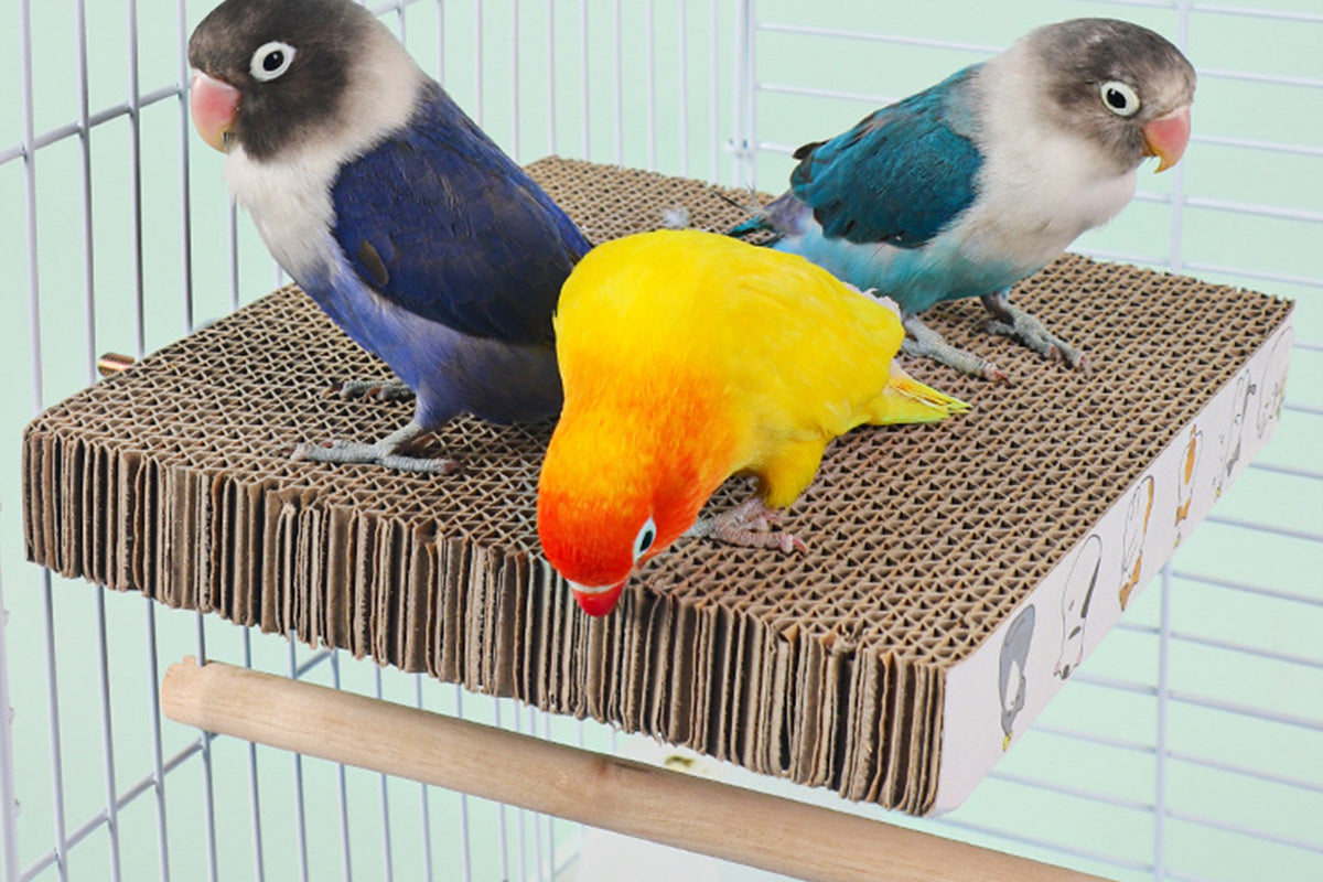 Parrot Toys Bird Perch Stand Cardboard Anti-bite Hair Grinding Pad Bird Cage Accessories
