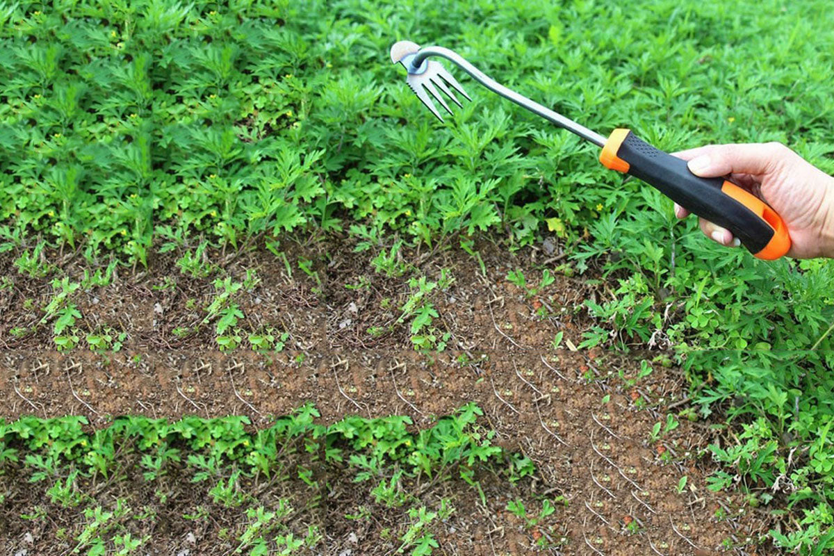 Garden Weed Pulling Tool Garden Weeder Tool Uprooting Weeding Tool for Vegetable