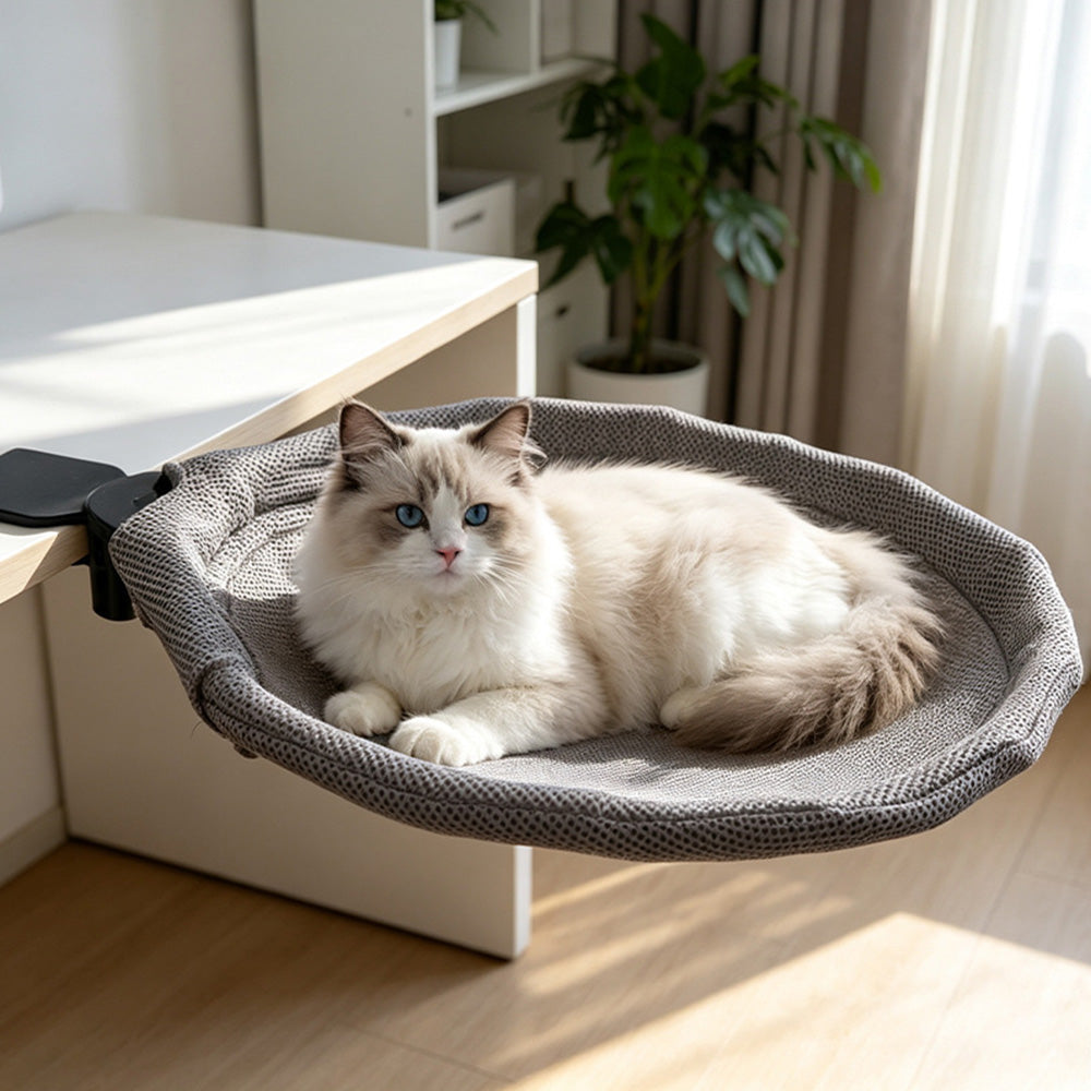 Desk Mounted Reversible Mesh Cat Hammock with Steel Frame