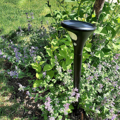 2 Pieces Waterproof Solar Garden Lights with Motion Sensor