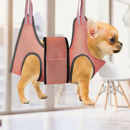 Small Pet Grooming Hammock Dog Cat Hanging Sling for Bathing Trimming Nailcare Orange
