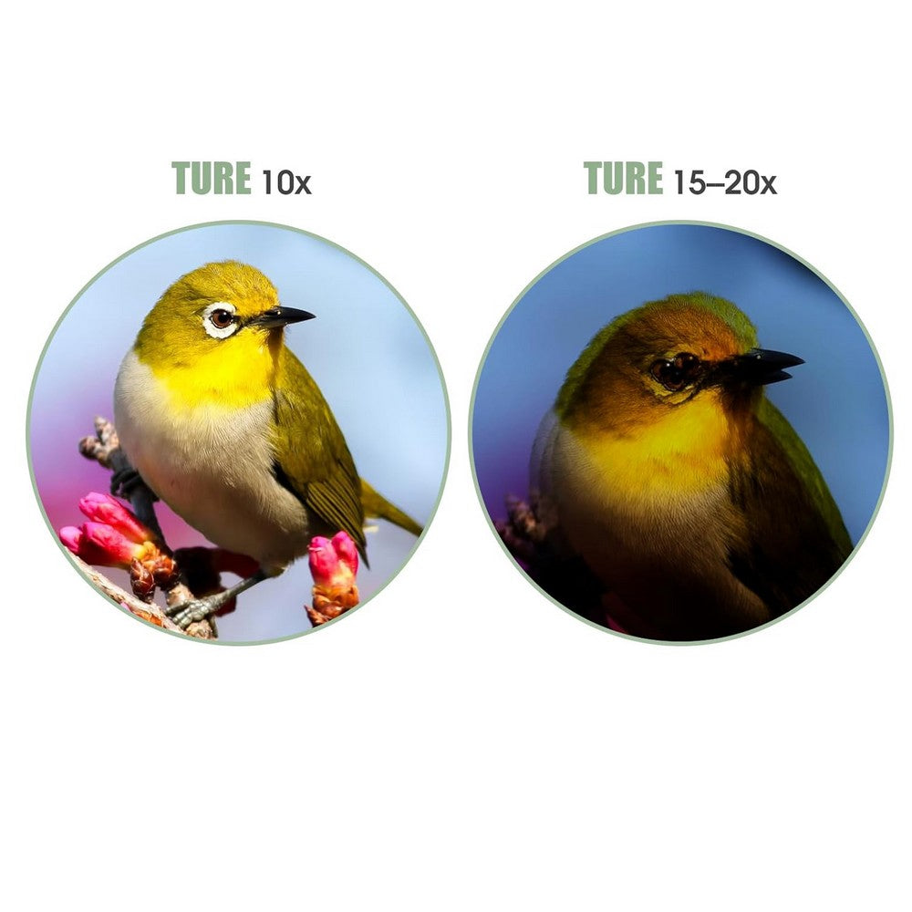 Waterproof Binoculars with BAK4 Prism FMC Lens for Cruise Ship Bird Watching