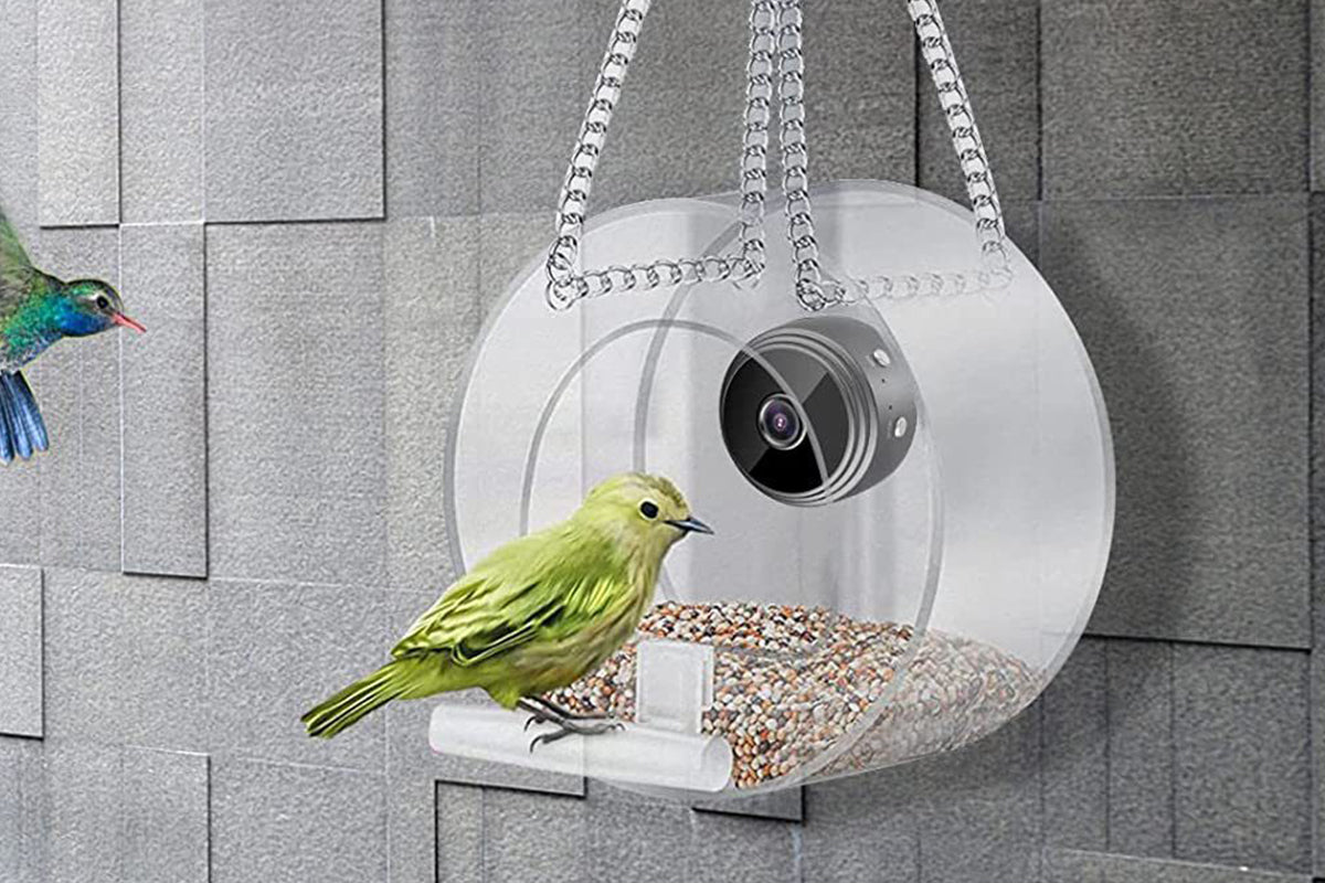 1080P WiFi Smart Bird Feeder with Camera for Closeup Shots