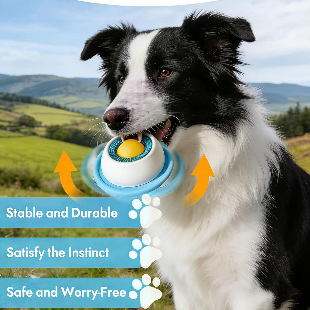 Dog Licking Bowl Slow Feeder Bowls for Yogurt Liquid Treat-Blue