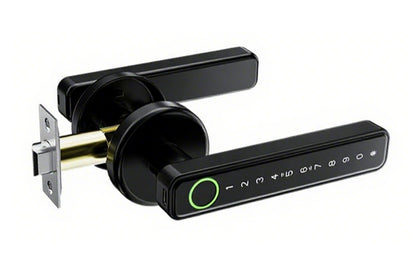 5 in 1 Smart Door Lock Fingerprint Door Knob with IC Cards and Backup Keys -Black