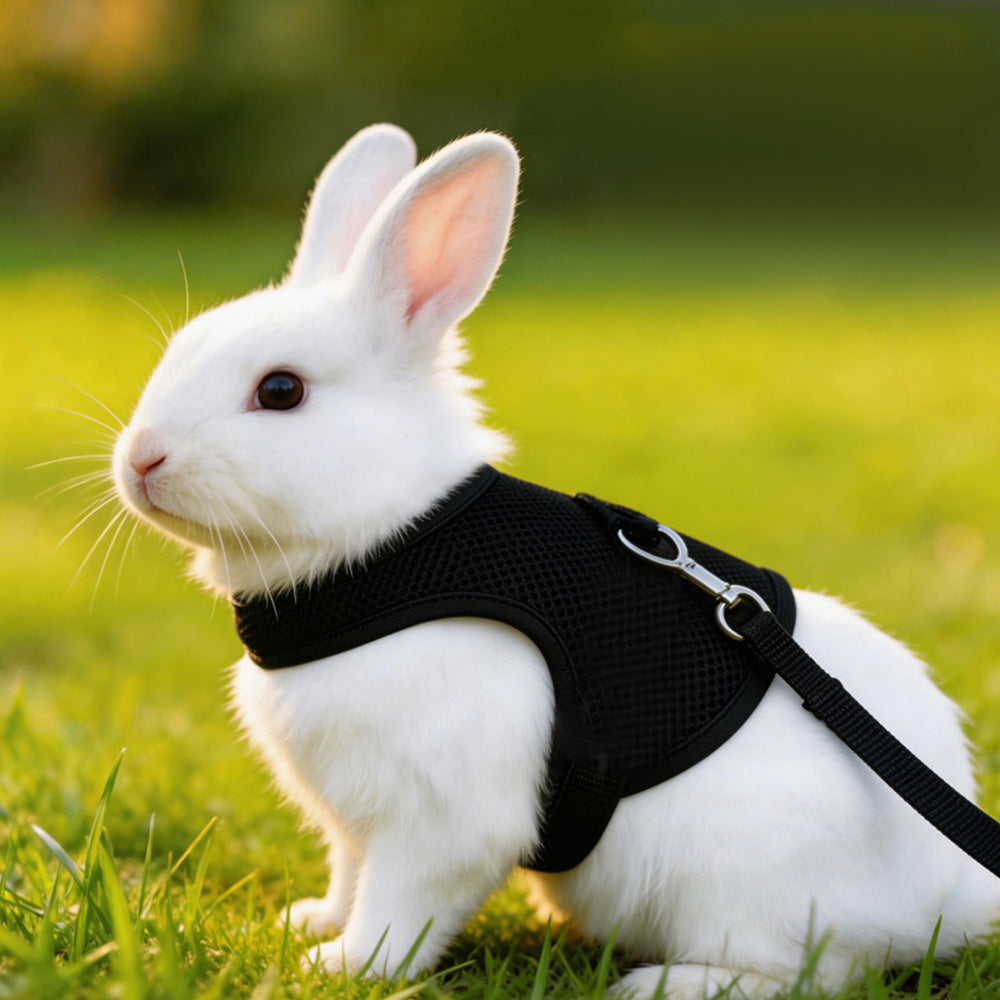 Rabbit Harness and Leash Set for Bunny-Black