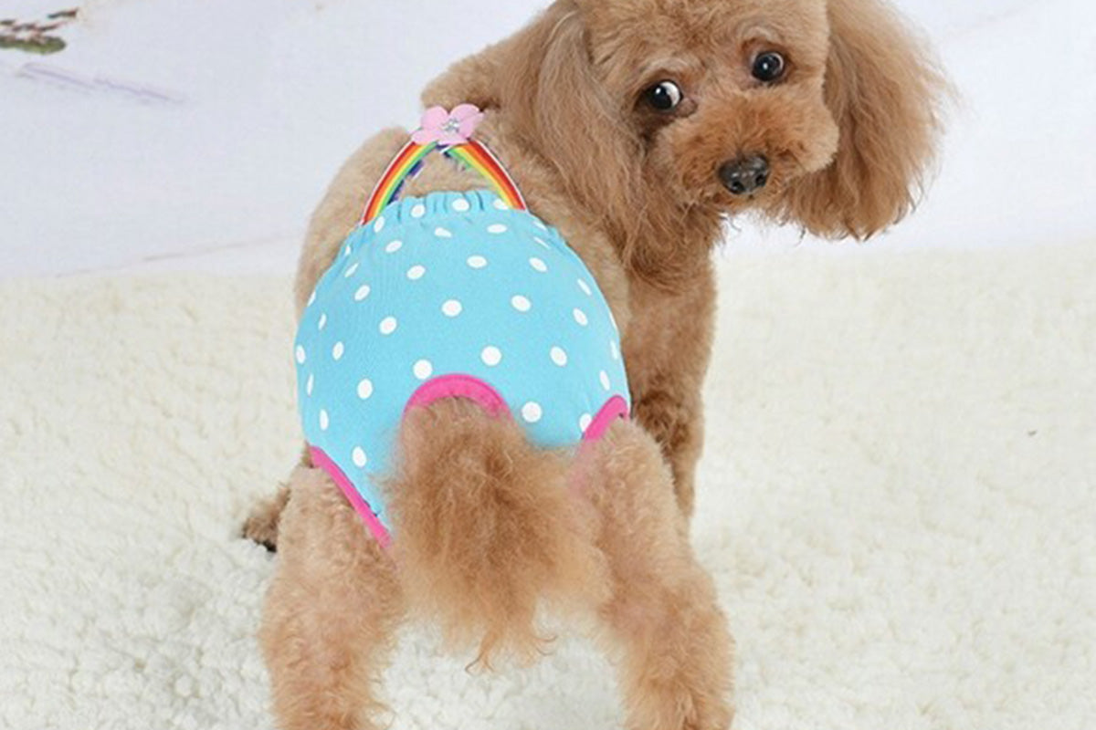 Cute Harness Female Dog Sanitary Pants Reusable Menstrual Diaper-Blue