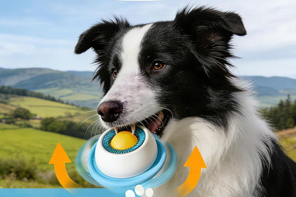 Dog Licking Bowl Slow Feeder Bowls - Blue