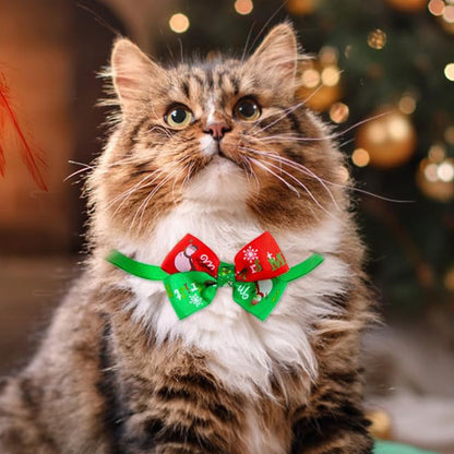 24PCS Cat Christmas Advent Calendar Interactive Xmas Toy Gift Set for Kittens