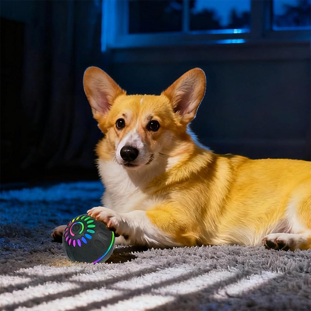 Interactive Dog Ball Toy Smart Moving Bouncing Dog Ball with LED Lights for Dogs Puppies-Black
