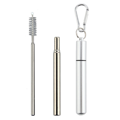 2 Piece Collapsible Stainless Steel Travel Straws with Cases - Silver